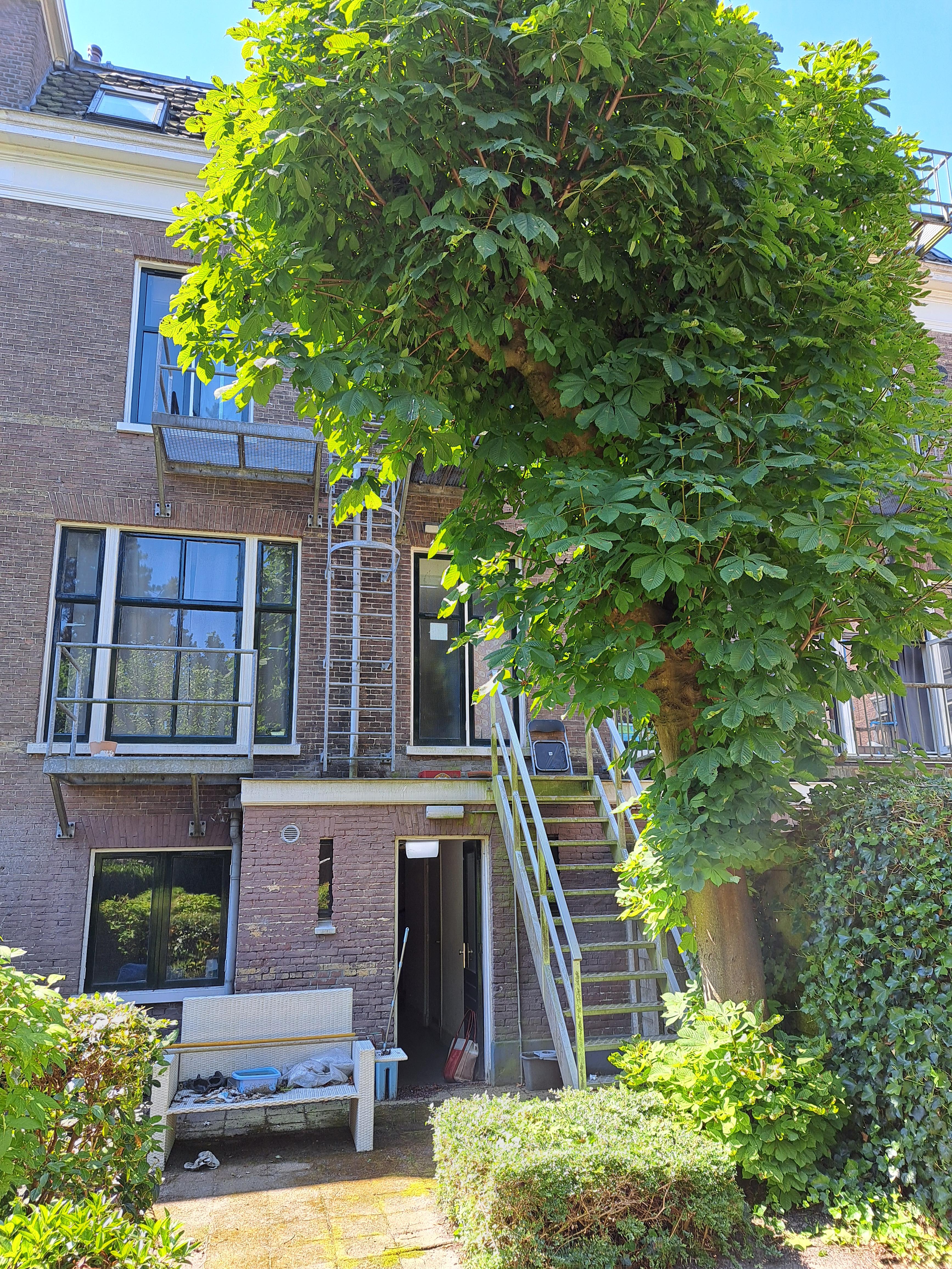 Floraplein 20B, Haarlem