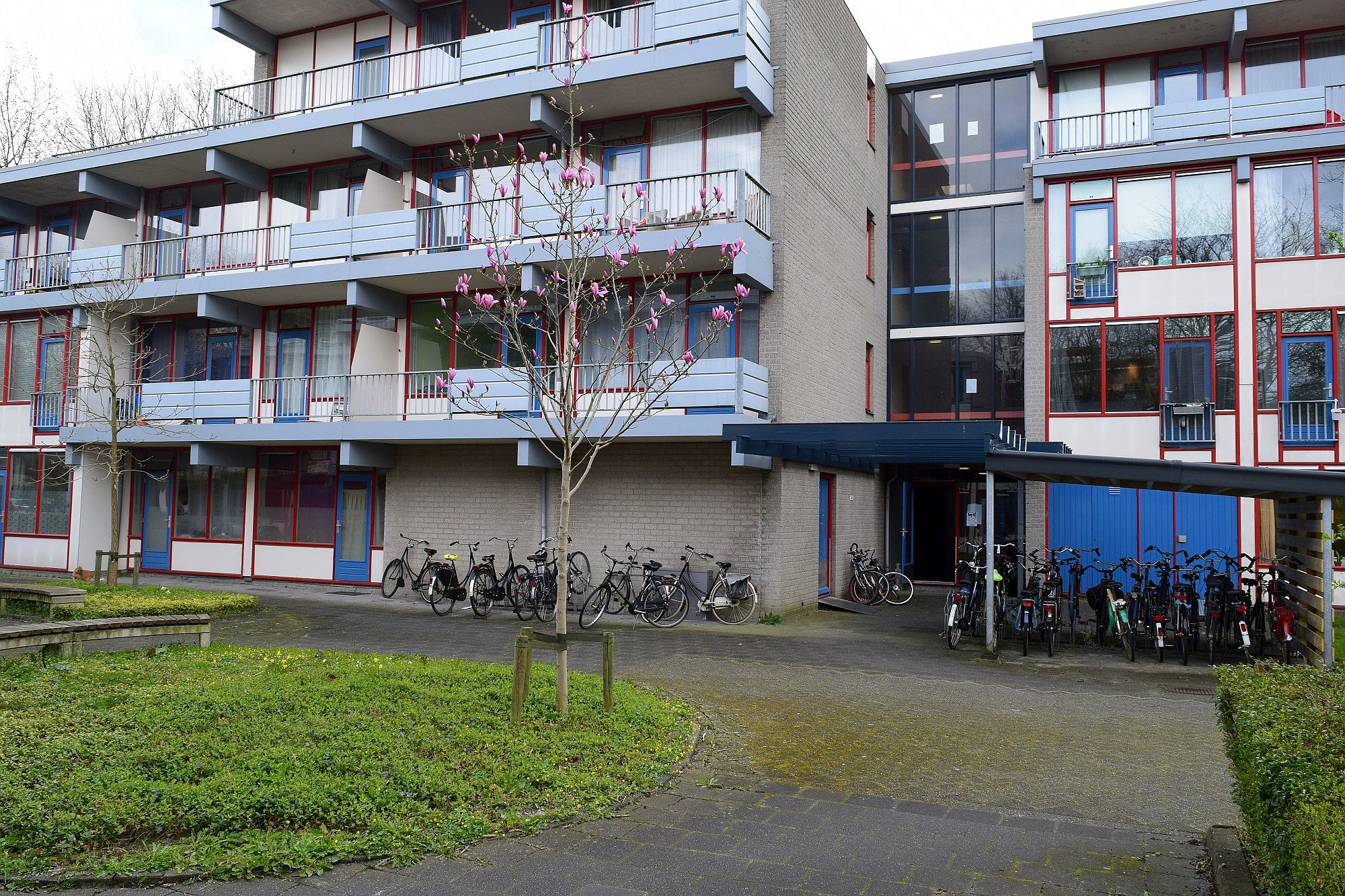 Damsport 59K2, Groningen