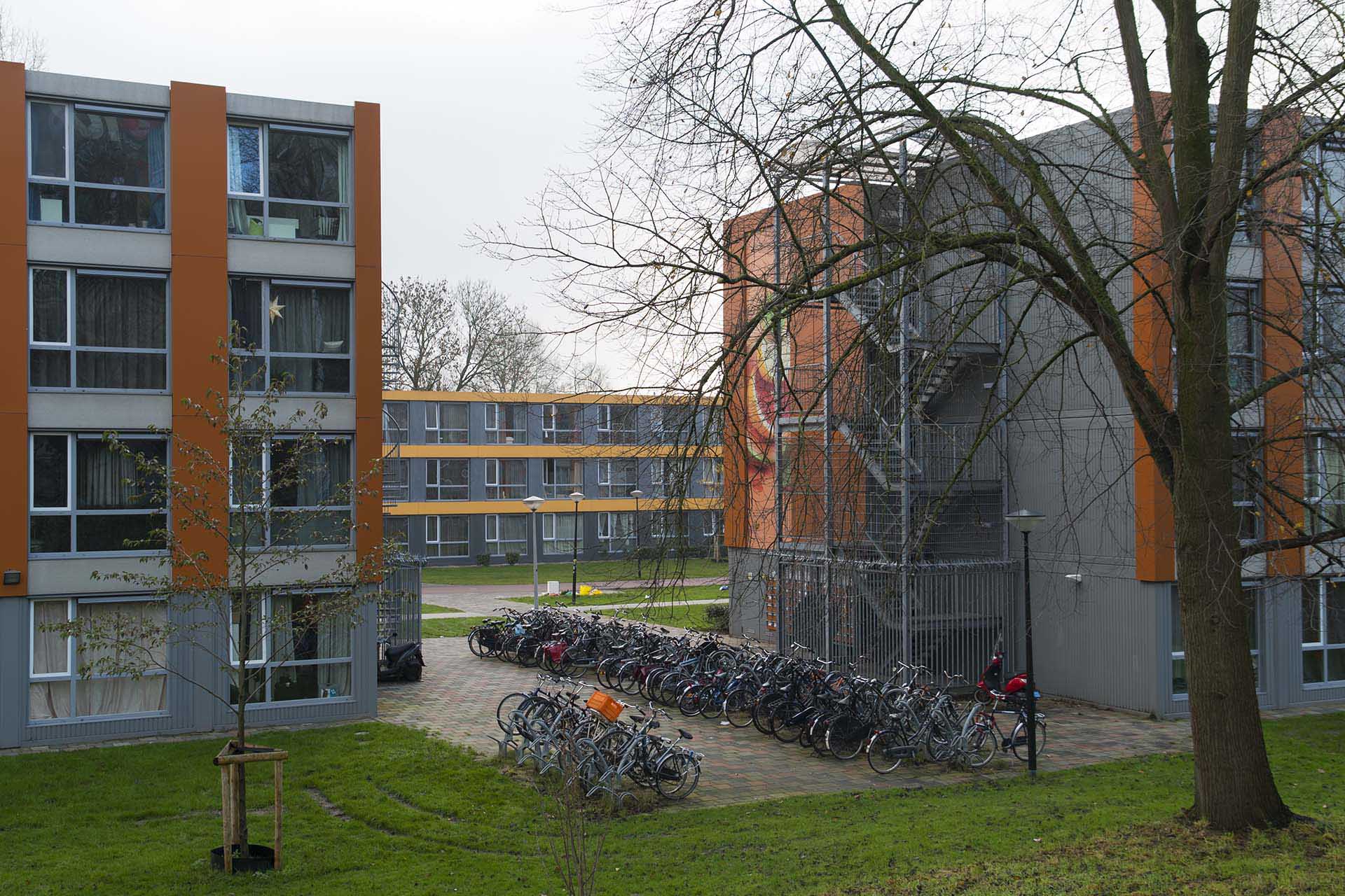 Dennenrodepad 537, Amsterdam