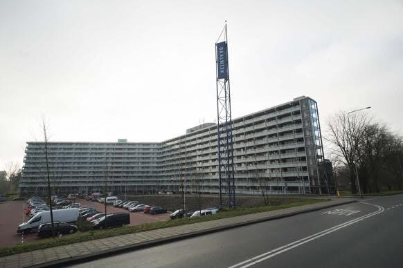Daalwijk 202B, Amsterdam